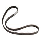 Correia Dentada FOCUS - 00 01 02 03 04 - 12814 - CT978
