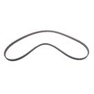 Correia Dentada PANORAMA - 1976 1977 1978 1979 1980 - 12039 - CT702