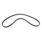 Correia Dentada SIENA 1997 1998 1999 2000 2001 2002 - 13506 - CT605
