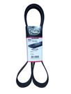 Correia do Motor Volvo VM 270 - 8PK1750 Gates Correia do Motor Volvo VM 270 - 8PK1750 Gates