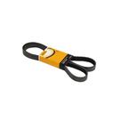 Correia Multi V 20,96X4,5 6Pk2060 Contitech