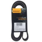 Correia Multi V SC R114 T124 F94 K124 P114 todos