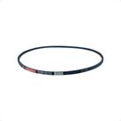 Correia para Tanquinho Colormaq - LCM 3L-410