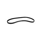 Correia para Tanquinho Estriada Hutchinson 767 JMA 5