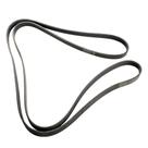 Correia Poly V 5526264 Lc5526264