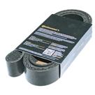 Correia Poly V - Continental - 9PK1875