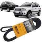 Correia Poly V Ecosport 2.0 16v Ar Dh Duratec De 2003 A 2012