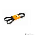 Correia Poly V Elastica Fox / Golf / Gol / Saveiro / Up / T - Cross / Virtus / Polo / Nivus