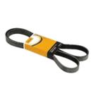 Correia Poly V F94HB CARGO C1517 C1722 C2422 C2428 C2622 C2628 C815 C712 C1317 C2623 C2628 CN C2628 C1517 C1317 C1517 C1717 C915