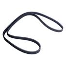 Correia Poly V Gm Montana 2009 a 2020 - 189542 - 5PK1460 Correia Poly V Gm Montana 2009 a 2020 - 189542 - 5PK1460