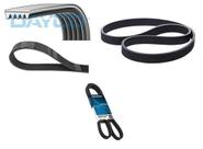 Correia poly-v linea punto dayco