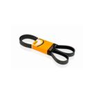 Correia Poly V / Multi V Agile 1.4 10/14