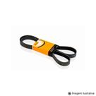 Correia Poly V / Multi V Audi A3 2.0 06/16 - CONTITECH
