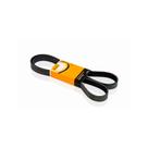 Correia Poly V / Multi V Ecosport 03/08 Hb20 13/16