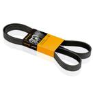 Correia Poly V / Multi V Elastica Fox 1.0 8V 07/... Gol 1.0 8V 08/... Polo 1.6 8V 09/... Saveiro 1.6 VHT 08/... Voyage 1.6 8V EA111 08/... Correia Poly V / Multi V Elastica Fox 1.0 8V 07/... Gol 1.0 8V 08/... Polo 1.6 8V 09/... Saveiro 1.6 VHT 08/... Voyage 1.6 8V EA111 08/...