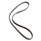 Correia Poly V Suzuki Baleno 1995 a 2000 - 135559 - 4PK905