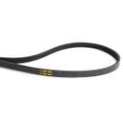 Correia Premium Suggar Lavamax 10kg JMA 904 Borracha Resistente