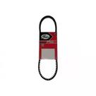 Correia V Powerband / Poly 1100mm 29mm Gates - 2X13X1100