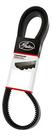 Correia V Powerband / Poly 2027mm 35,5mm Gates - 2/BXS78AC