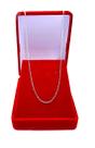 Corrente Feminina Elo Portugues De 45cm Ouro Branco 18k