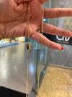 Corrente grumet 3mm