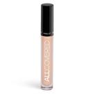 Corretivo Inglot All Covered Under Eye Waterproof 106 Corretivo Inglot All Covered Under Eye Waterproof 106