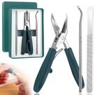 Cortador de unhas DLIOJHL 2025 New Eagle Beak Beveled, pacote com 3