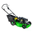 Cortador Grama Gasolina Recolhedor Tração 6,5CV LF55C Trapp Cortador Grama Gasolina Recolhedor Tração 6,5CV LF55C Trapp