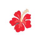 Cortador Modular Flor Moana Hibisco 5CM