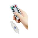 Cortina De LED 6x3M 3x3M Com Luzes De Fada Alimentadas Por USB E Controle Remoto Para Decoração De