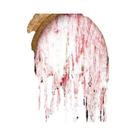 Cortina Decorativa de Halloween - Terror Sangrento Vermelho (30x72 Polegadas)