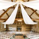 Cortinas de Teto Showgeous Chiffon Branca - 4 Painéis (1,5m x 6m) para Casamento