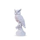 Coruja em Gesso Premium 21Cm Para Pintura DIY Ideal para Sala Escritório Presente Criativo AVB DECOR