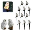 Coruja Lumianaria Solar Decoraçao Casa Quintal Jardim Kit 11 Uni Multiuso Resistente Aves Iluminacao Coruja Lumianaria Solar Decoraçao Casa Quintal Jardim Kit 11 Uni Multiuso Resistente Aves Iluminacao