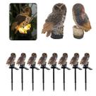 Coruja Lumianaria Solar Decoracao Casa Quintal Jardim Varanda Kit 8 Uni Multiuso Resistente Aves Iluminacao