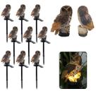Coruja Lumianaria Solar Decoracao Casa Quintal Jardim Varanda Kit 9 Uni Multiuso Resistente Aves Iluminacao