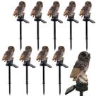 Coruja Lumianaria Solar Escultura Led Kit 10 Uni Decoraçao Ave Enfeite Quintal Jardim Iluminaçao Multiuso