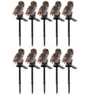 Coruja Luminaria Solar Decoraçao Kit 10 Uni Casa Jardim Quintal Varanda Enfeite Ave Escultura