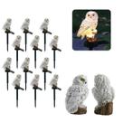 Coruja Luminaria Solar Kit 12 Uni Casa Jardim Quintal Enfeite Luz Led Espeto Decoraçao Nortuna Enfeite Aves