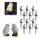 Coruja Luminaria Solar Kit 12 Uni Decoraçao Jardim Casa Quintal Multiuso Acende Luz Led Resistente Escultura Coruja Luminaria Solar Kit 12 Uni Decoraçao Jardim Casa Quintal Multiuso Acende Luz Led Resistente Escultura