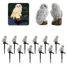 Coruja Luminaria Solar Kit 12 Uni Jardim Quintal Casa Decoraçao Enfeite Multiuso Luz Led Resistente Escultura Aves