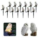 Coruja Luminaria Solar Kit 13 Uni Jardim Quintal Casa Decoraçao Enfeite Multiuso Luz Led Resistente Escultura Aves