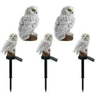 Coruja Luminaria Solar Kit 5 Uni Luz Led Iluminaçao Decorativa Quintal Casa Jardim Multiuso Resistente
