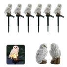 Coruja Luminaria Solar Kit 6 Uni Decoraçao Jardim Casa Quintal Multiuso Acende Luz Led Resistente Escultura