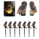 Coruja Luminaria Solar Kit 7 Uni Casa Jardim Quintal Enfeite Luz Led Espeto Decoraçao Nortuna Aves Enfeite