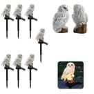 Coruja Luminaria Solar Kit 7 Uni Casa Jardim Quintal Enfeite Luz Led Espeto Decoraçao Nortuna Enfeite Aves