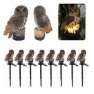Coruja Luminaria Solar Kit 8 Uni Jardim Quintal Casa Decoraçao Enfeite Multiuso Luz Led Resistente Ave Escultura