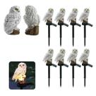 Coruja Luminaria Solar Kit 8 Uni Jardim Quintal Casa Decoraçao Enfeite Multiuso Luz Led Resistente Escultura Aves