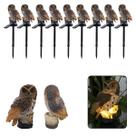 Coruja Luminaria Solar Kit 9 Uni Casa Jardim Quintal Enfeite Luz Led Espeto Decoraçao Nortuna Aves Enfeite
