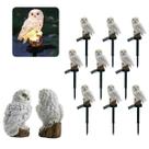 Coruja Luminaria Solar Kit 9 Uni Casa Jardim Quintal Enfeite Luz Led Espeto Decoraçao Nortuna Enfeite Aves
